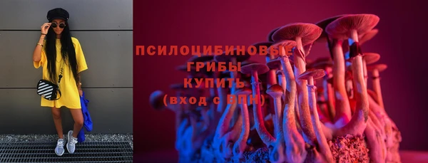 хмурый Медногорск