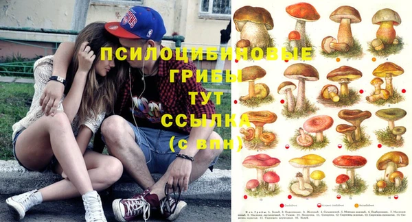 наркотики Медвежьегорск
