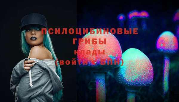наркотики Медвежьегорск