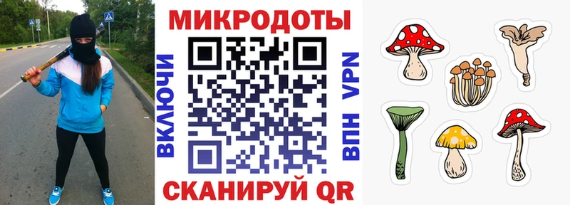 где купить Альметьевск Псилоцибиновые грибы мицелий