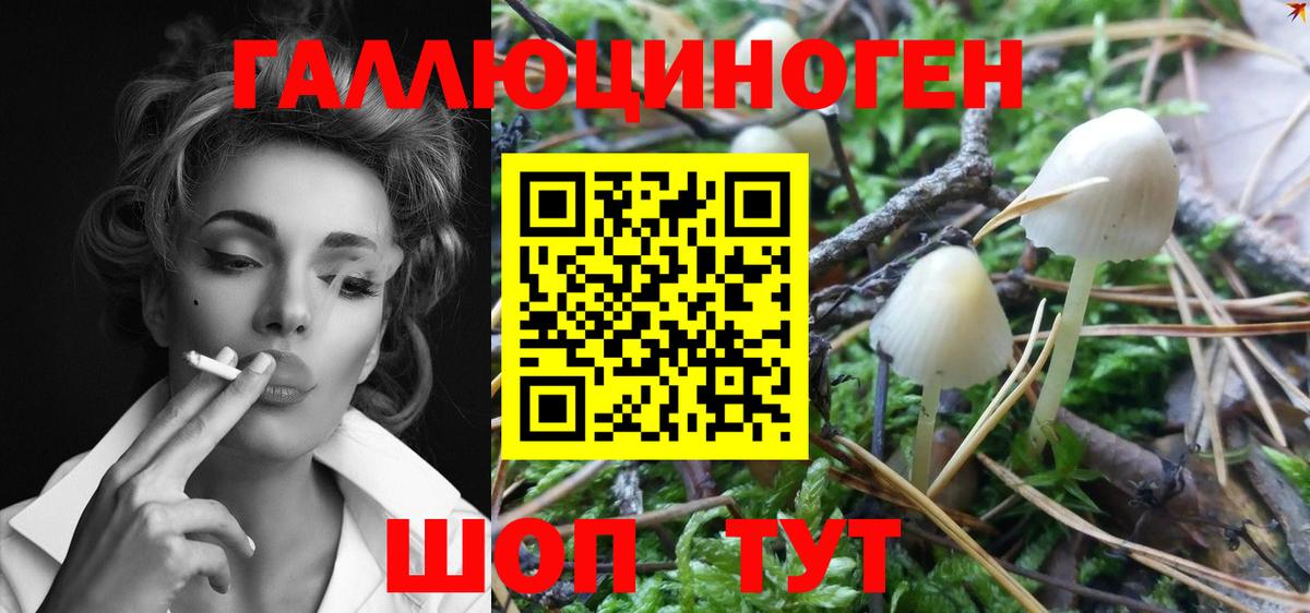 Псилоцибиновые грибы Magic Shrooms  Вход с VPN  Псилоцибиновые грибы GOLDEN TEACHER  Альметьевск 