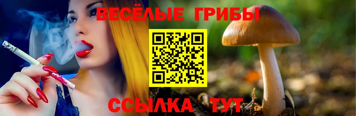 Псилоцибиновые грибы мухоморы Альметьевск
